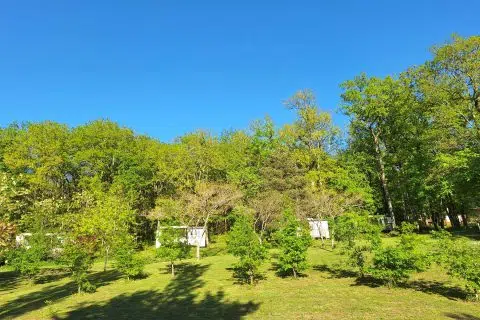 Mobil-home vue d'ensemble nature